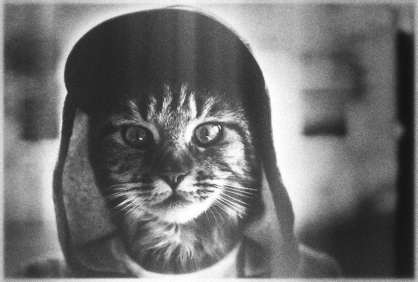 Сеня Трандафилов | Одесса