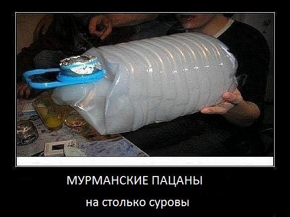 Коля Florin | Мурманск