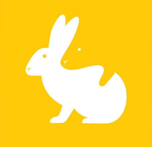 Александра Кротова | Санкт-Петербург