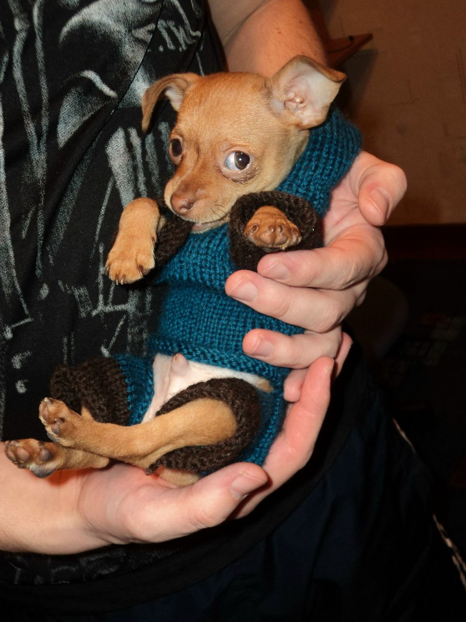 Дмитрий Агафонов | Великий Новгород