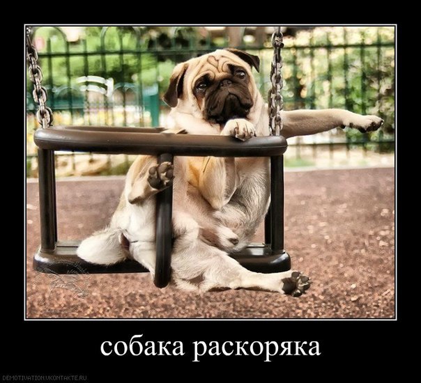 Юля Капелюшок | Киев