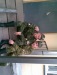 Толян Терин фотография #47