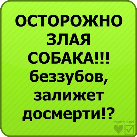 №28, Влад Байда №28, Влад Байда