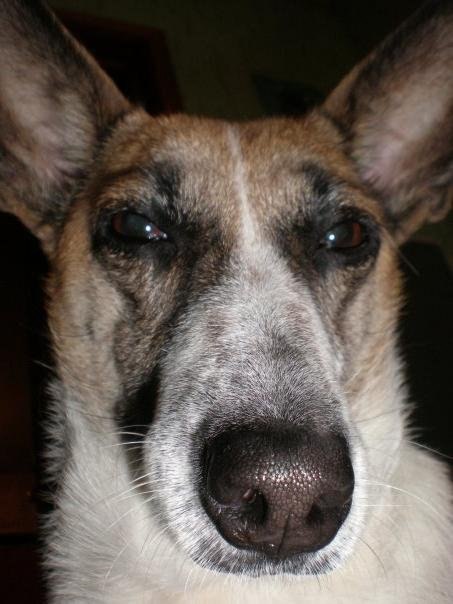 Александр Шульгач | Екатеринбург