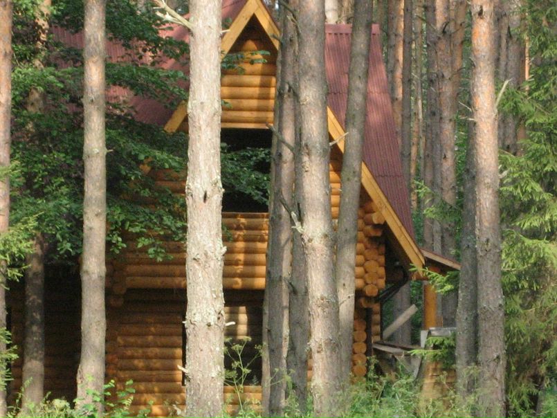 №49, Светлана Большакова, Нижний Новгород №49, Светлана Большакова, Нижний Новгород