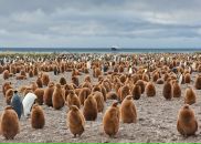 №36 Ксения Приходько 26.04: профиль, фото, статус - ВКонтакте