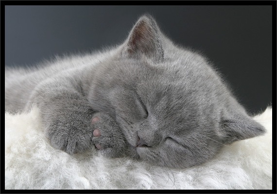 №15, Богдан Кушнир, Киев №15, Богдан Кушнир, Киев