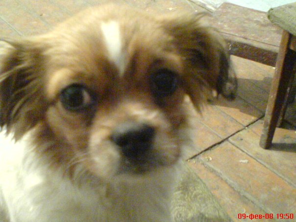 №48, Виктор Герен, 44 года, Днепр (Днепропетровск) №48, Виктор Герен, 44 года, Днепр (Днепропетровск)