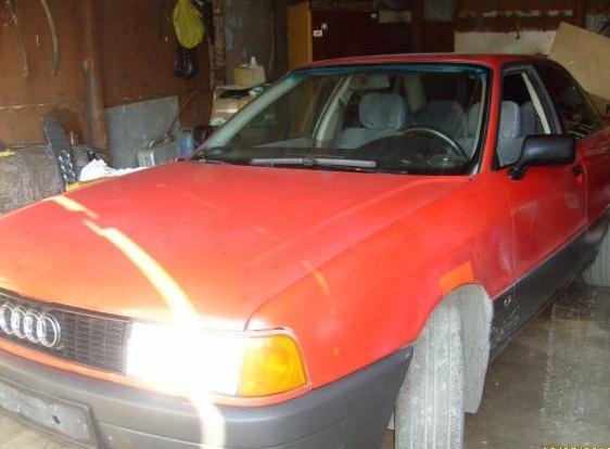 Максим Ганусенко | Муравилье