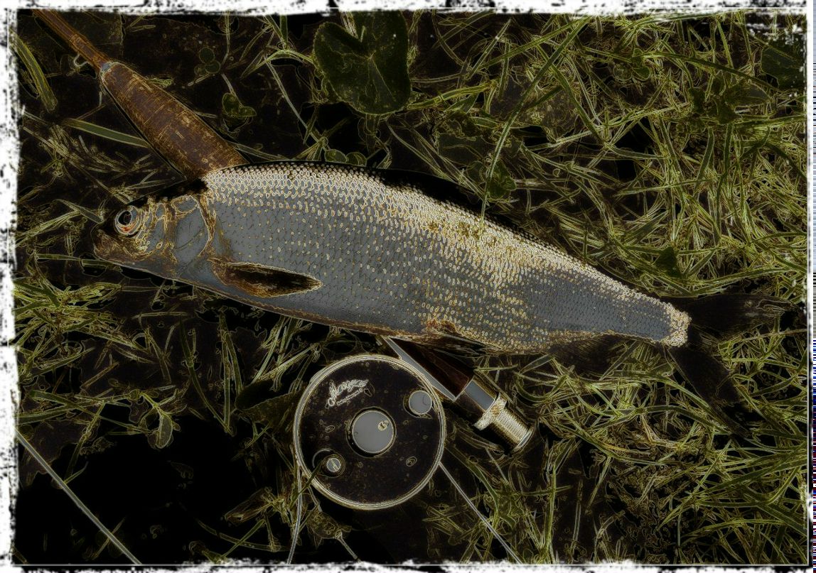 Константин Кищенко | Санкт-Петербург