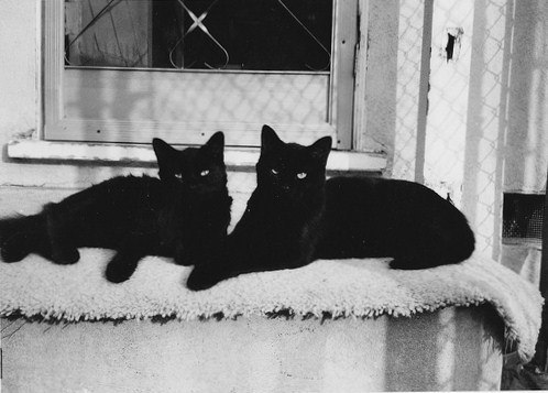 Игорь Хим ϟ | 