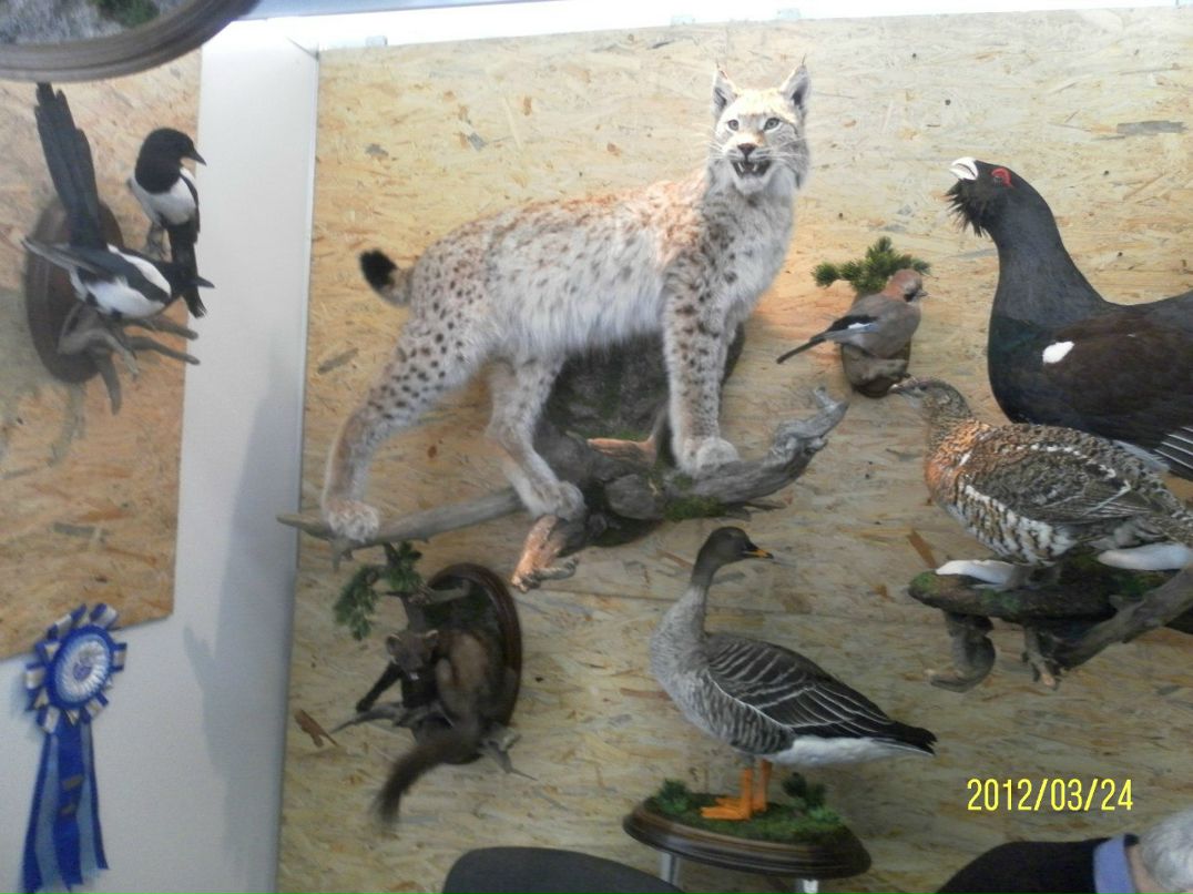 Артем Смирнов | Санкт-Петербург