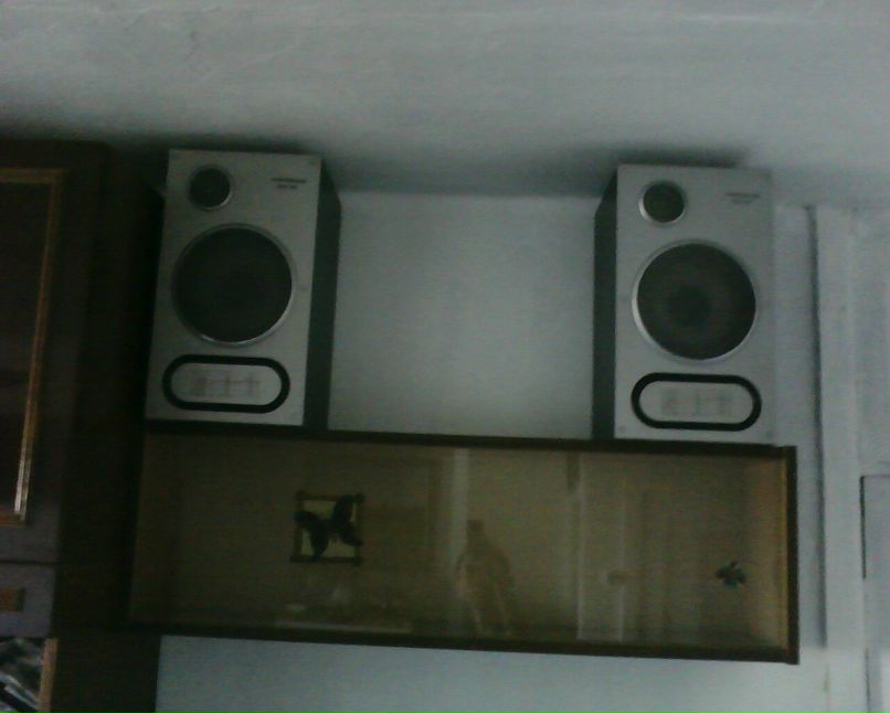 Денис Шамкин | Чита