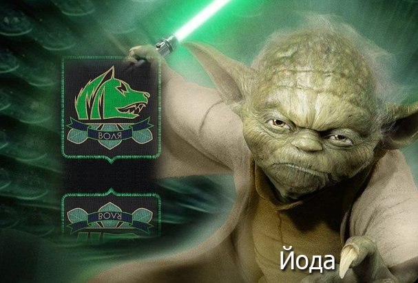 Никита Власенко | Санкт-Петербург