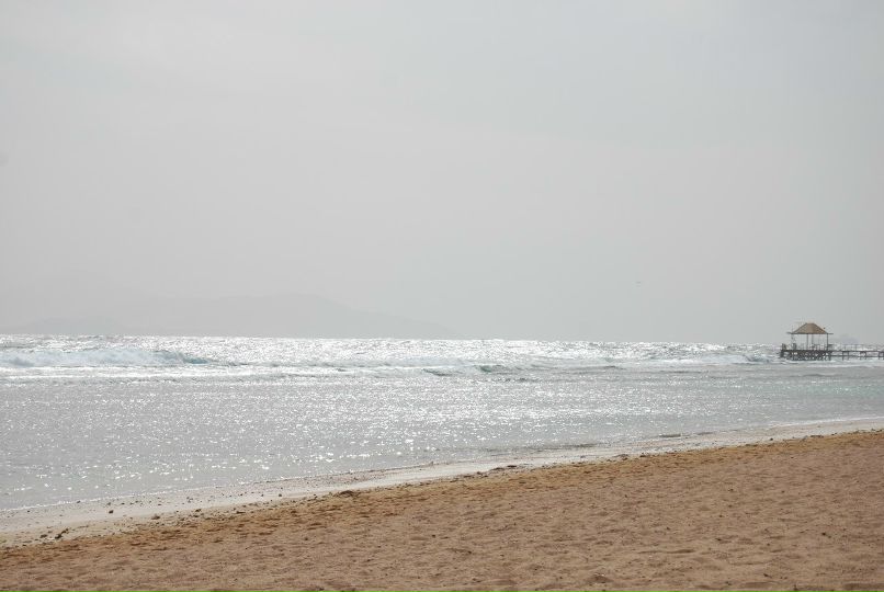 Игорь Новиков | Киев