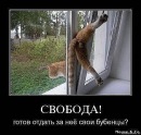 Фотография Филатова Димы
