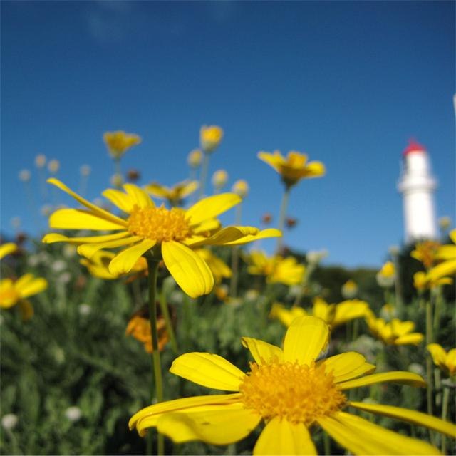 Фред Иванов | Санкт-Петербург