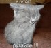 Вова Стефанкин фотография #23