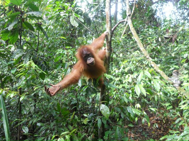 №12, Vitaliy Yakovlev, 53 года, Москва №12, Vitaliy Yakovlev, 53 года, Москва