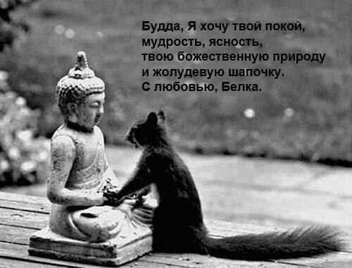 №56, Оля Андронова, Киев №56, Оля Андронова, Киев