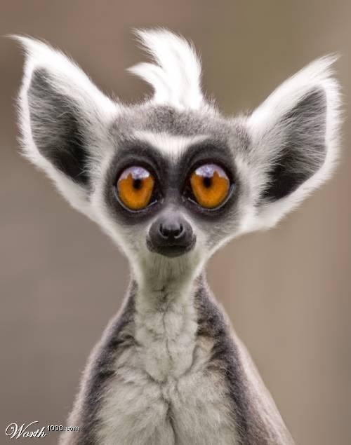 Александр Пивень | Днепр (Днепропетровск)