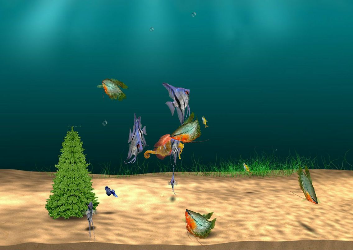 Леша Добрынин | Санкт-Петербург