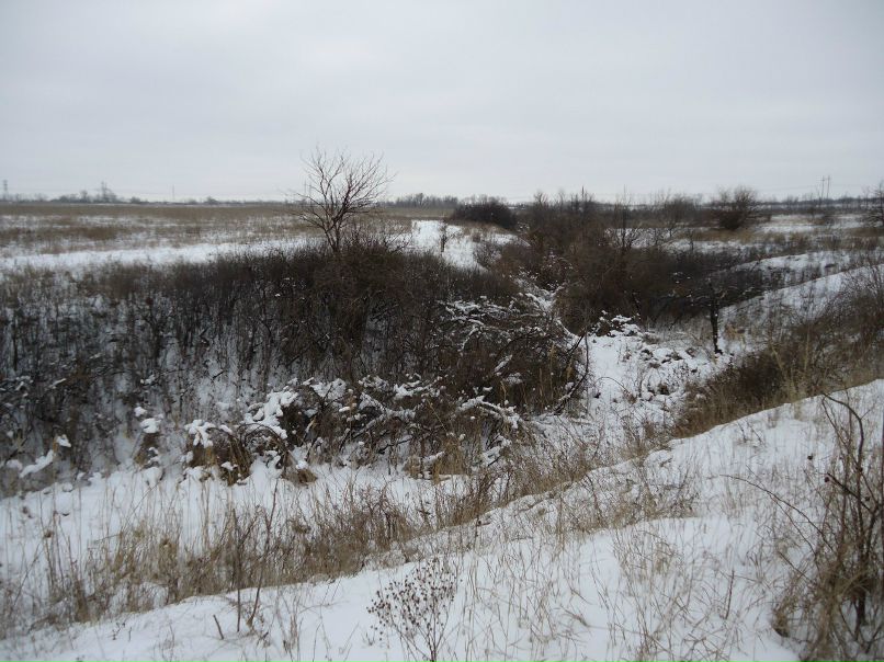 Дима Хачев | Донецк