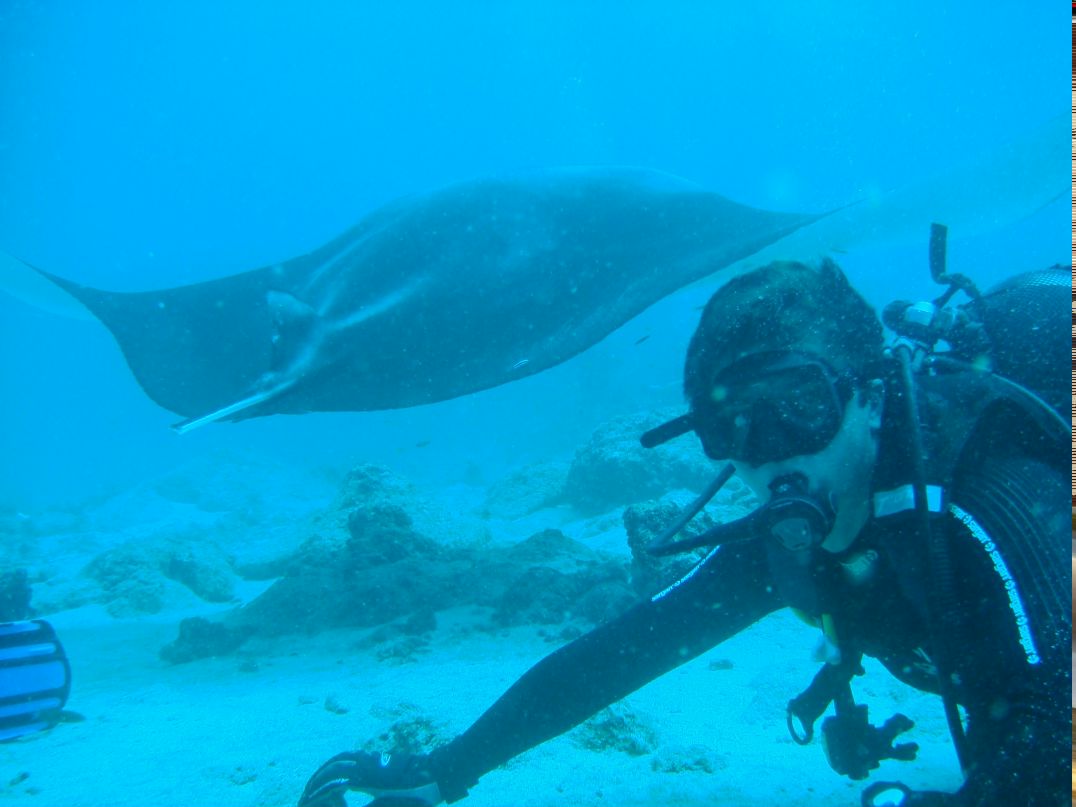 Александр Босых Владимирович | Видное