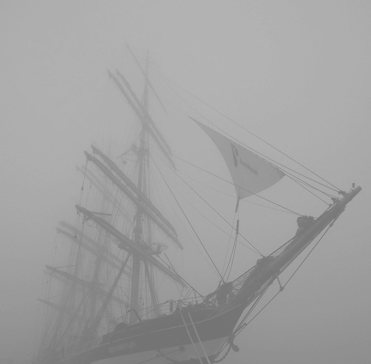 Никита Пахущий Omney | Калининград