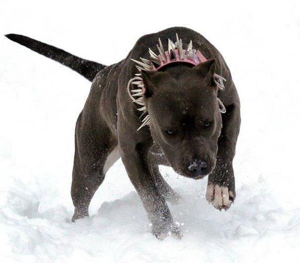 Никита Аксёнов | Краснодар