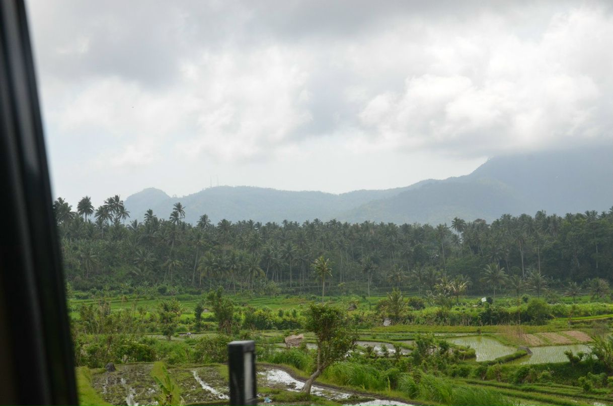 Сергей Авдеев | Сергиев Посад