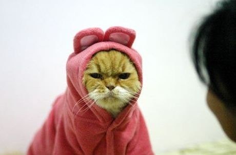 Евгений Трофимов | 