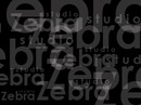 Фотография ★ Zebrastudio