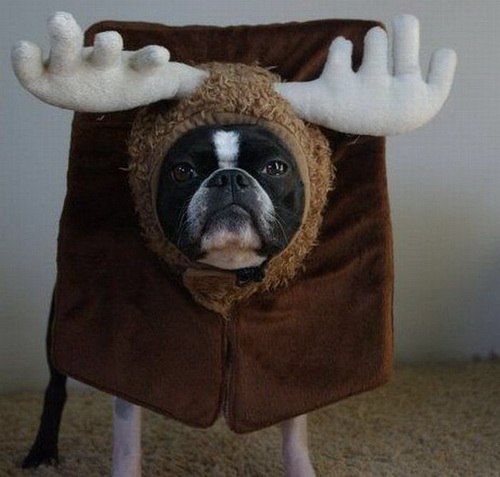 Иван Мунтян | Одесса