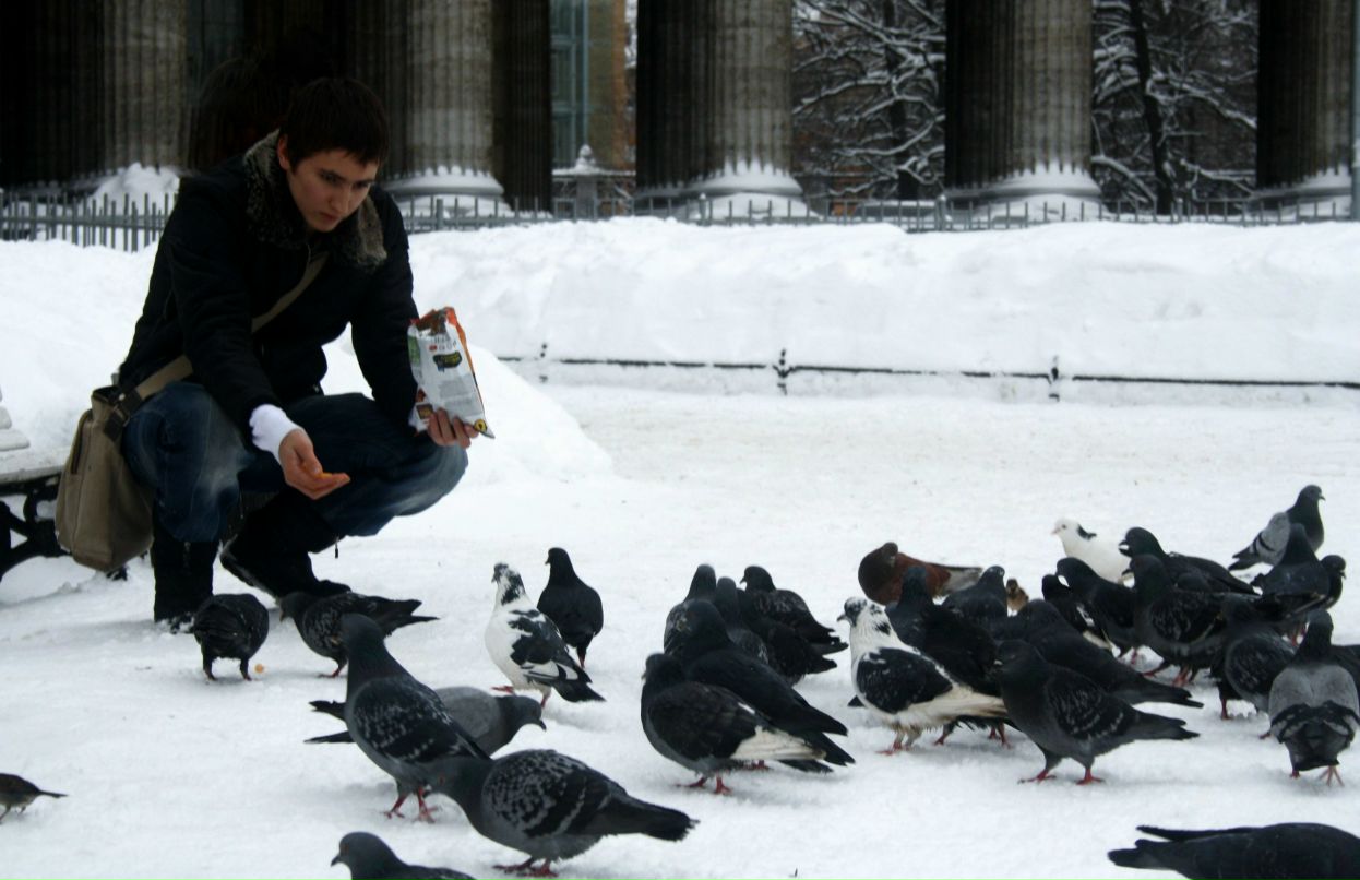 Роман Соловьев | Санкт-Петербург