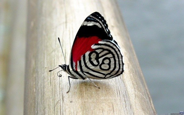 Made Love With | Санкт-Петербург