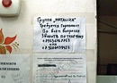 №35 Михаил Стефанович
