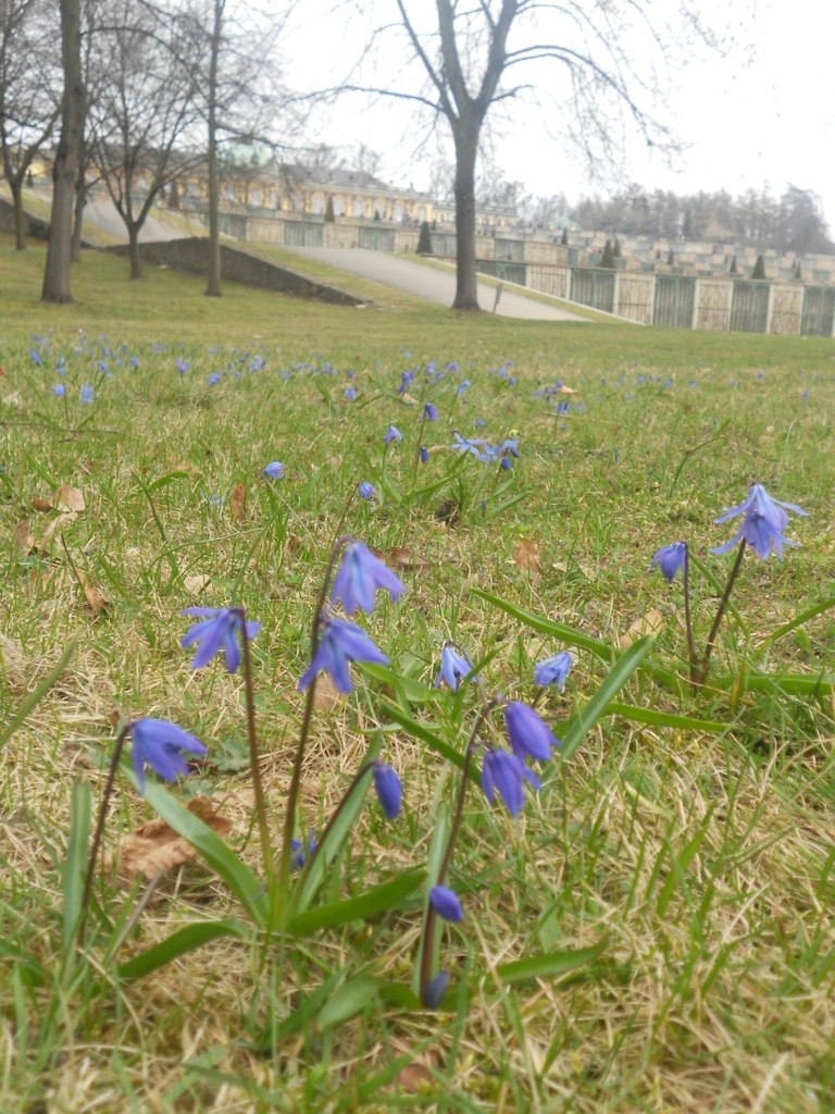 Елена Трифонова | Москва