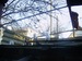 Володя Чорній фотография #11