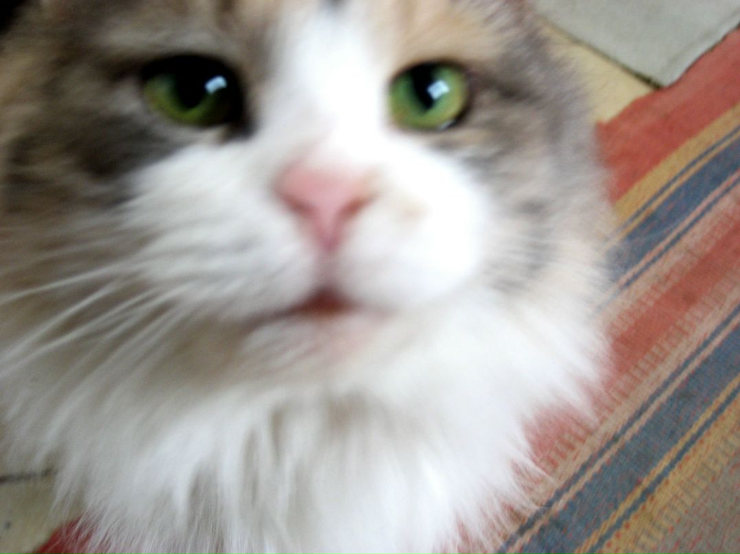 Маричка Panfilova | Москва