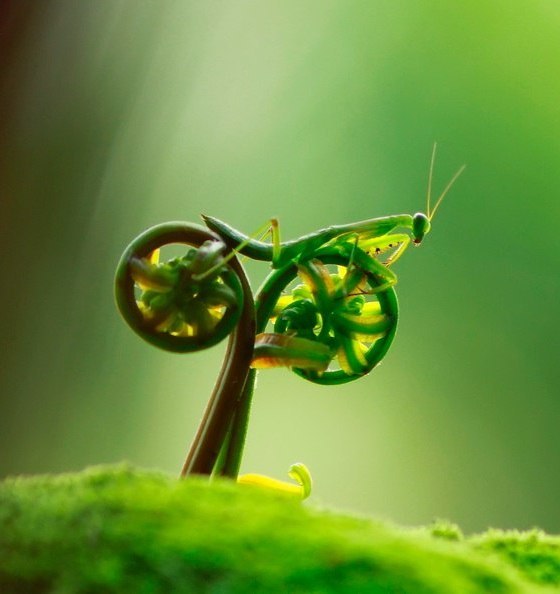 Игорь Фруктов | Калининград