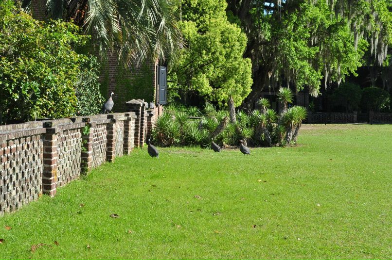 Виктория Богданова | Atlanta