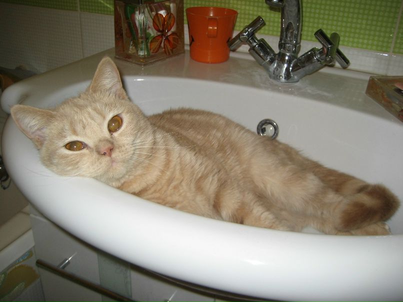 Аня Латышева | Минск