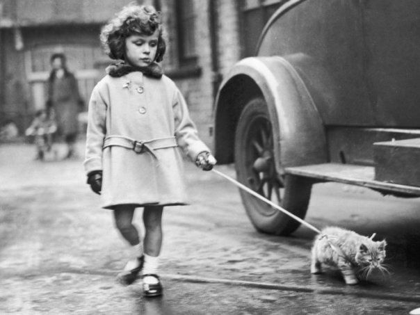 Валерия Бейзер | Санкт-Петербург