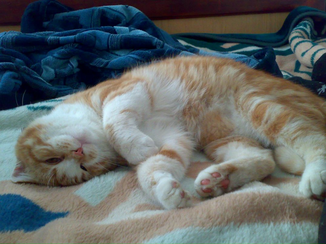 Игорь Михайлов | Кропивницкий / Кировоград