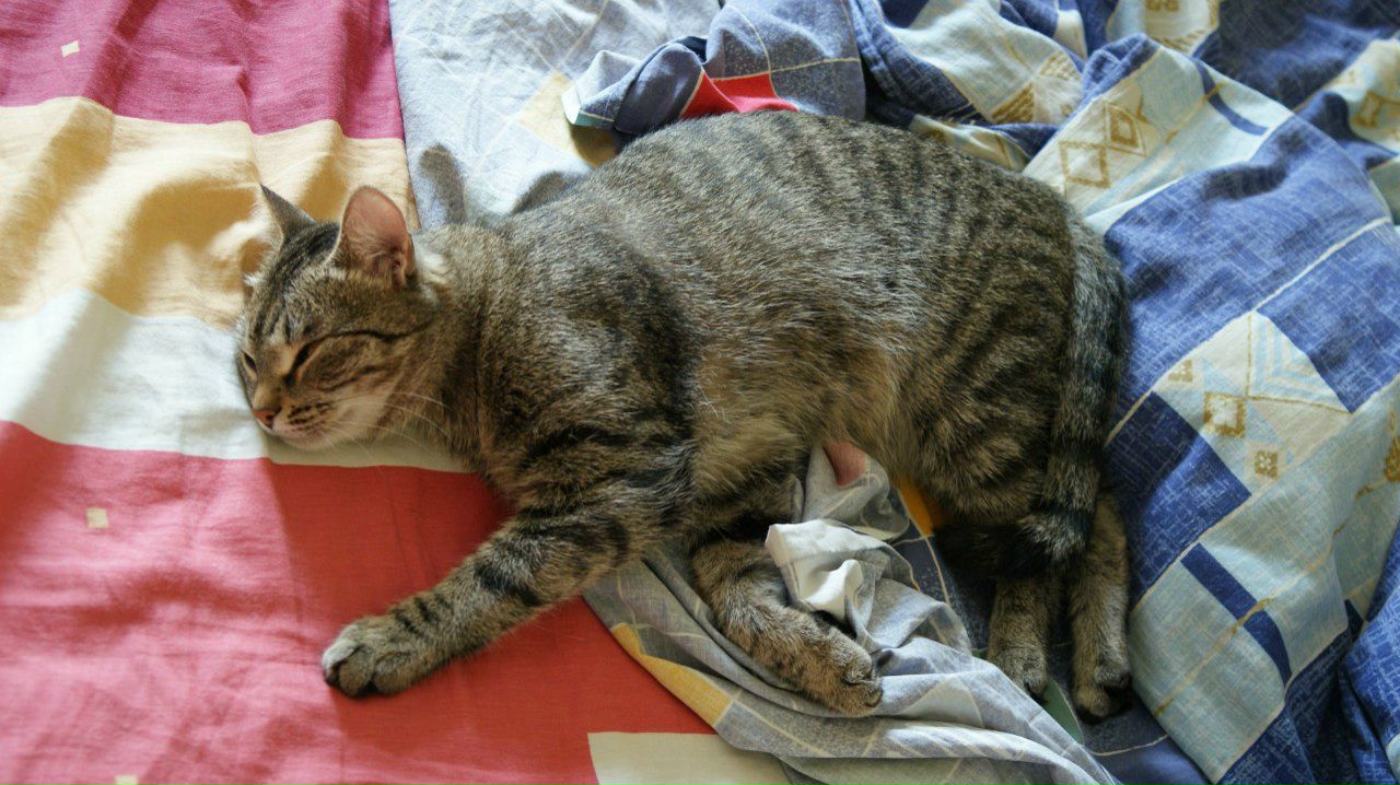 Артем Николаев | Красноярск