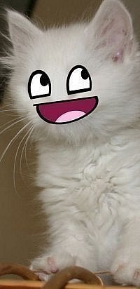 №110, Екатерина Петрушина №110, Екатерина Петрушина