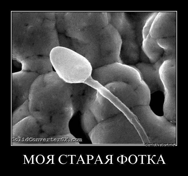 Саша Жданов | Мариуполь