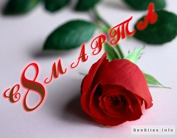 №34, Екатерина Платошкина, 45 лет, Санкт-Петербург №34, Екатерина Платошкина, 45 лет, Санкт-Петербург