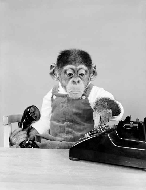 Дмитрий Поплавский | Москва